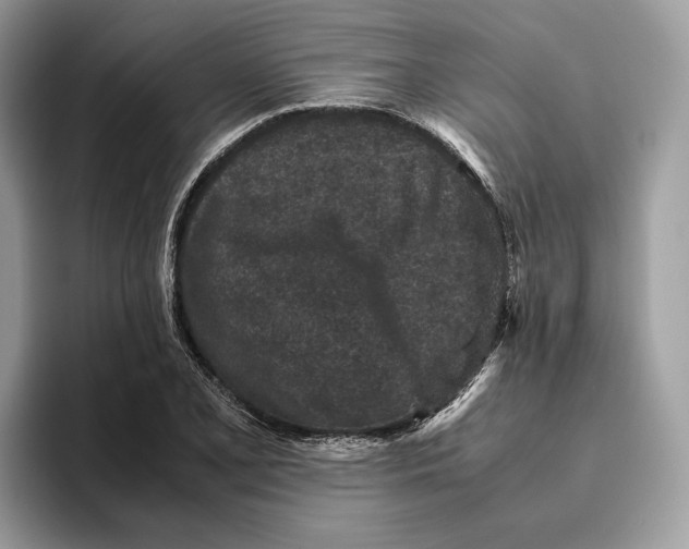 X0000095951077200802011057