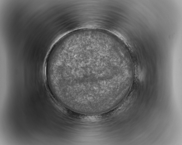 X0000095951078200802011057