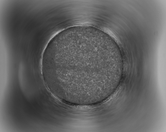 X0000095951079200802011057