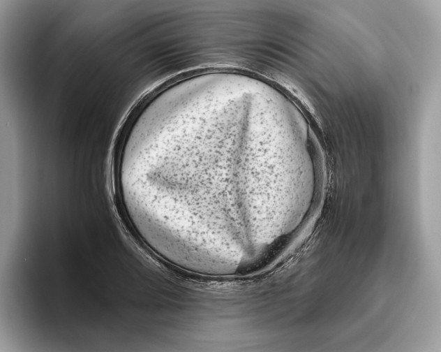 X0000095951080200802011057