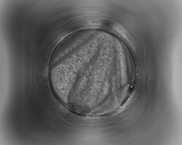 X0000095951081200802011057