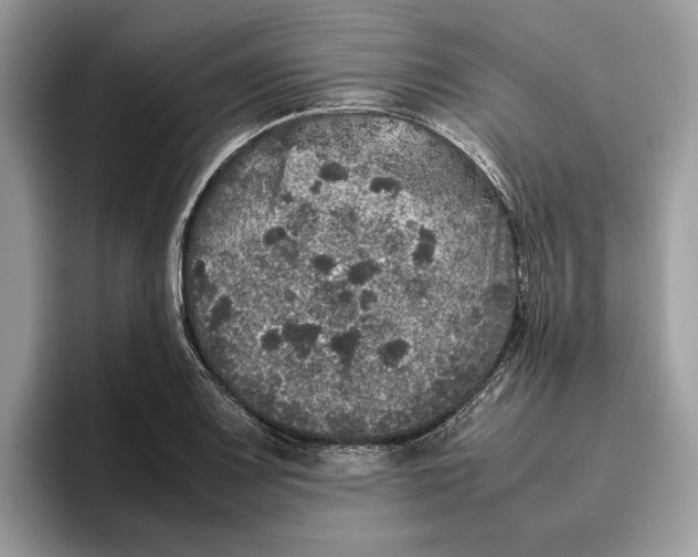 X0000095951083200802011057