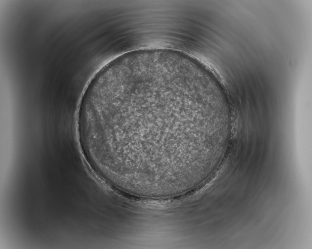 X0000095951086200802011057