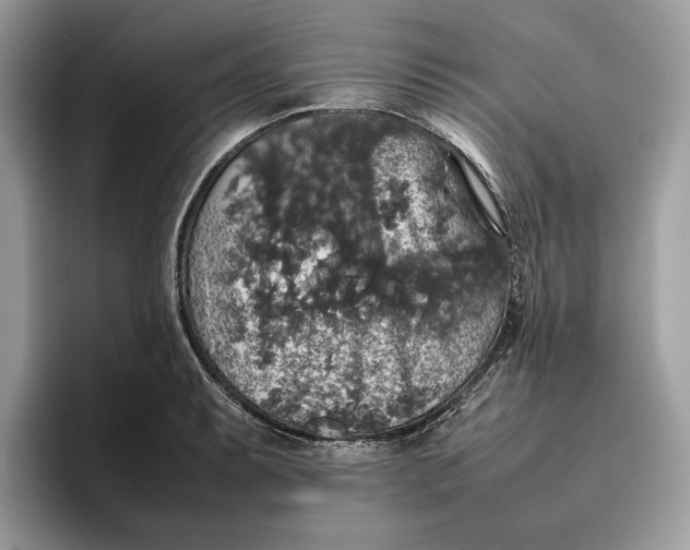 X0000095951087200802011057