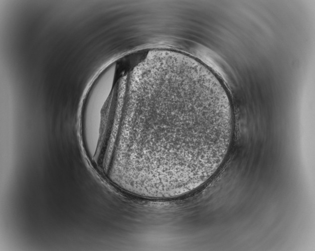 X0000095951088200802011057