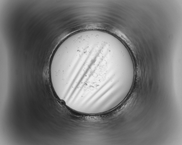 X0000095951089200802011057