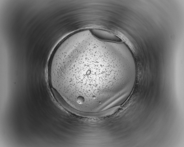 X0000095951092200802011057