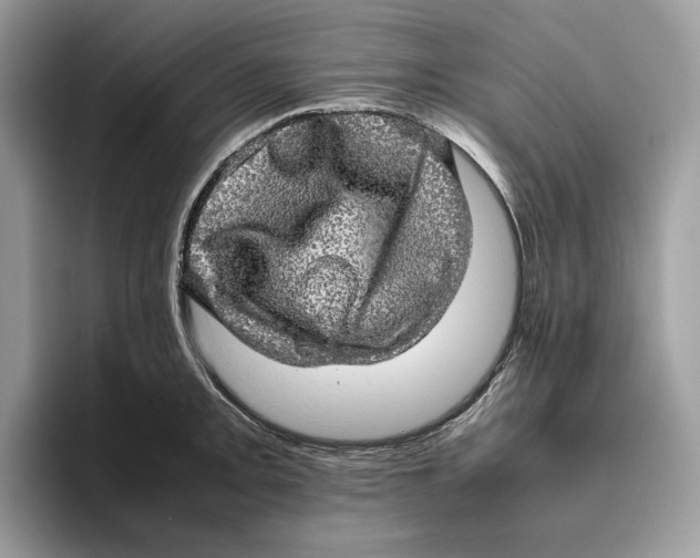 X0000095951093200802011057