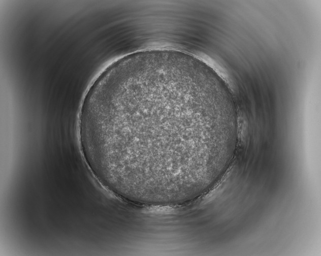 X0000095951094200802011057