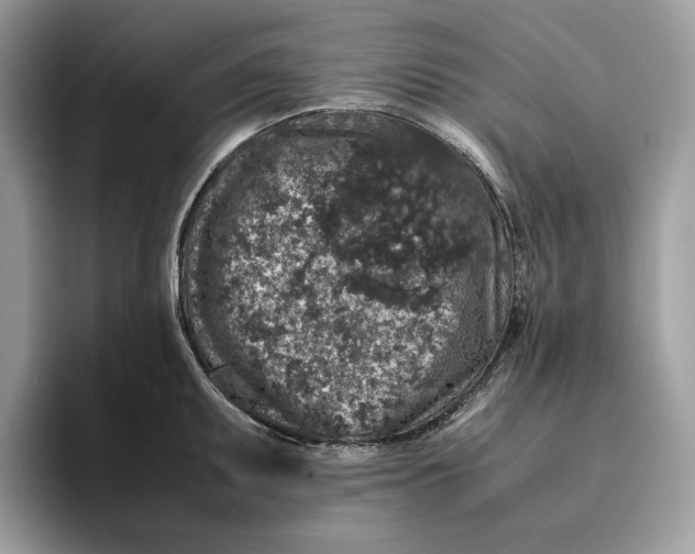 X0000095951095200802011057