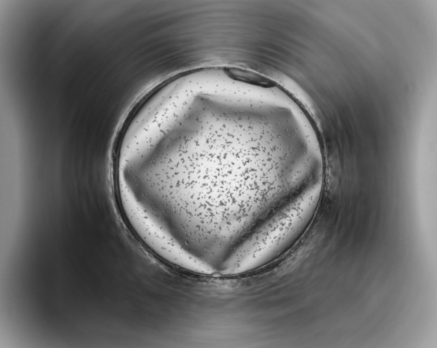 X0000095951096200802011056