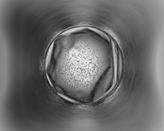 X0000095951097200802011056