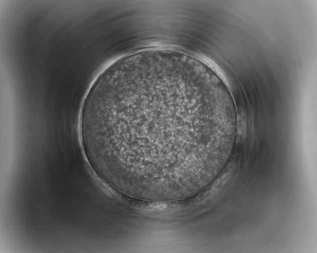 X0000095951098200802011056