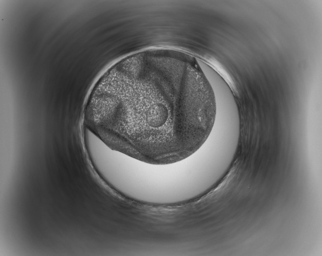 X0000095951100200802011056