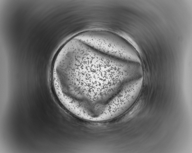 X0000095951101200802011056