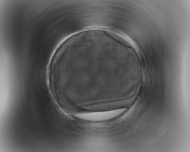 X0000095951102200802011056