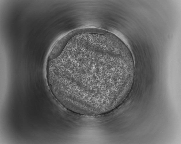 X0000095951104200802011056