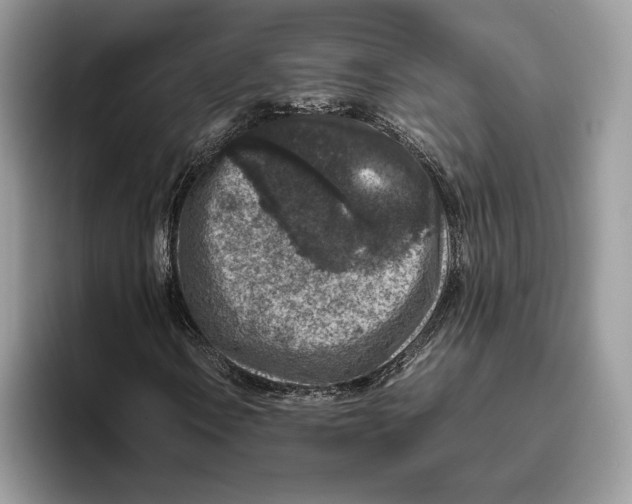 X0000095951106200802011056