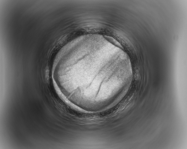 X0000095951108200802011056