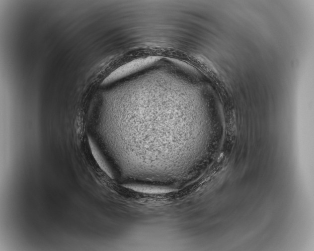 X0000095951110200802011056