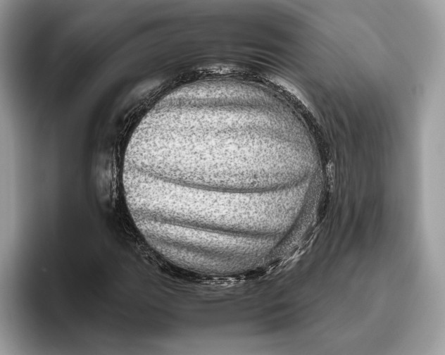 X0000095951111200802011056