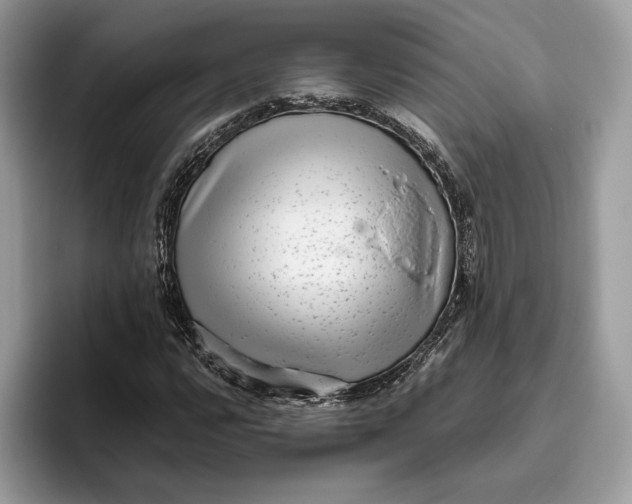 X0000095951112200802011056