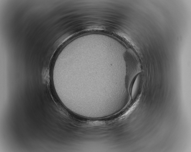 X0000095951113200802011056