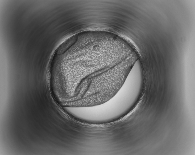 X0000095951114200802011056