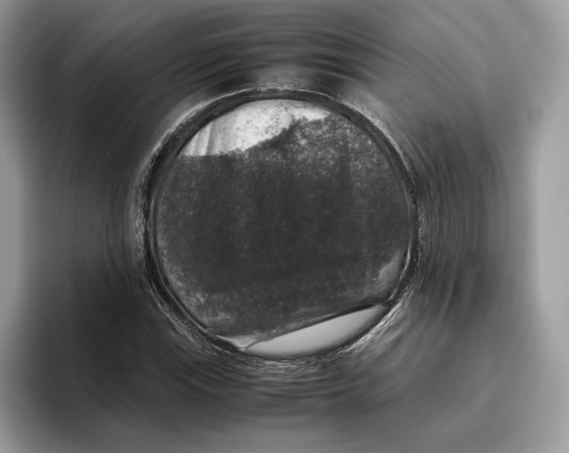 X0000095951115200802011056