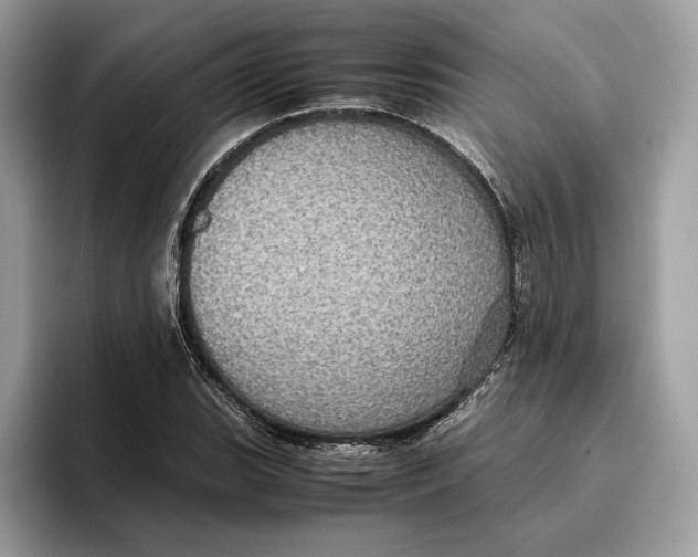 X0000095951119200802011056