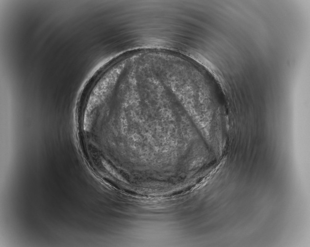 X0000095951120200802011056