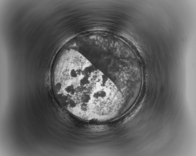 X0000095951121200802011056