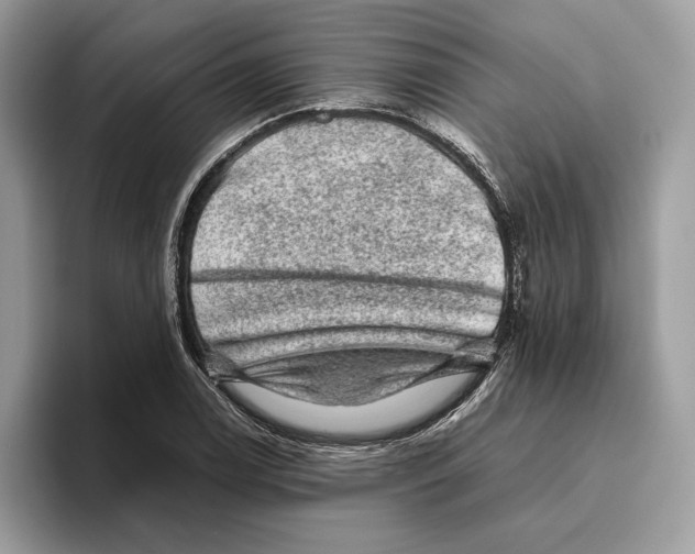 X0000095951122200802011056