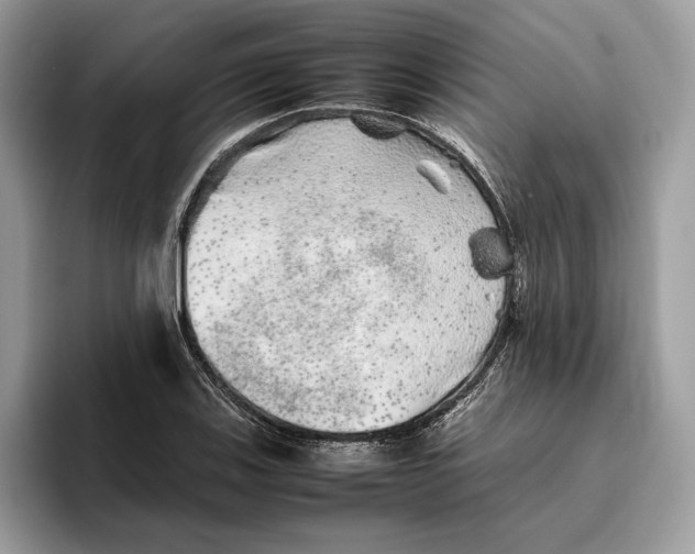 X0000095951123200802011056