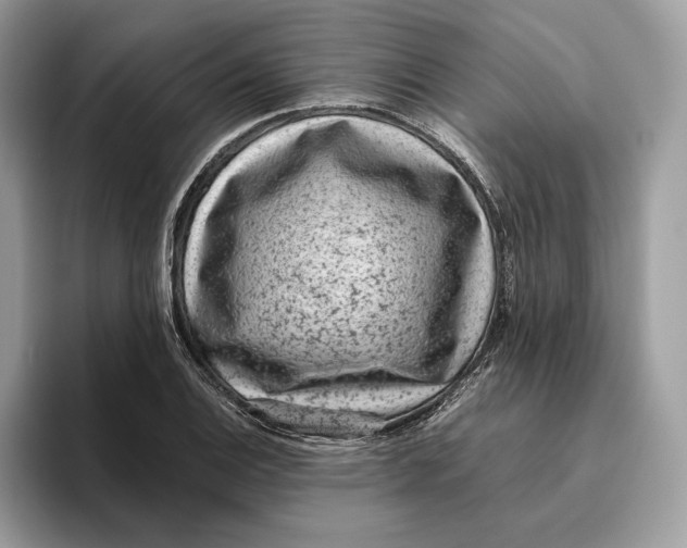 X0000095951124200802011056