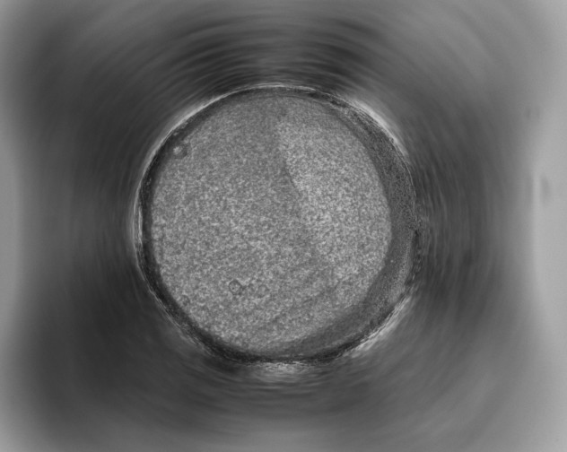 X0000095951125200802011056