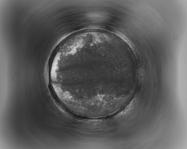 X0000095951127200802011056