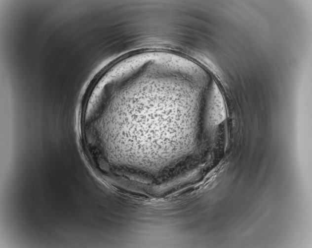 X0000095951128200802011056