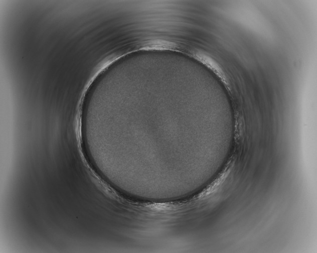 X0000095951130200802011056