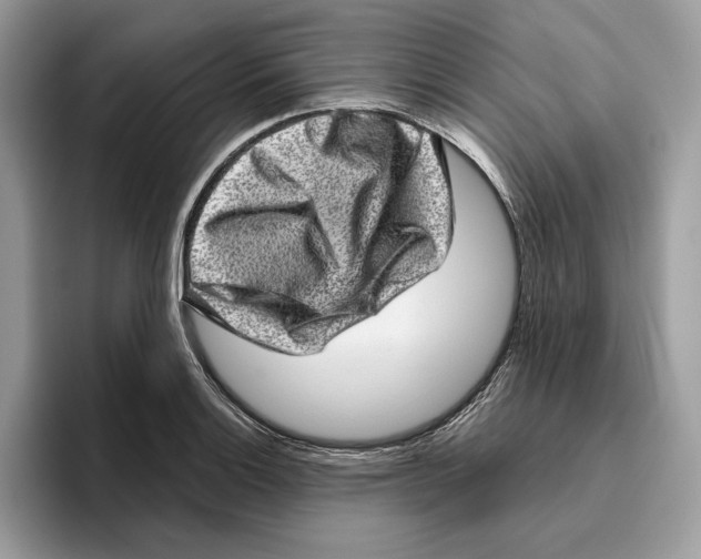 X0000095951132200802011056