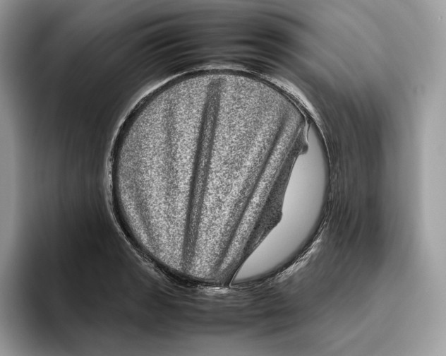 X0000095951133200802011056