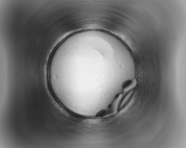 X0000095951134200802011056