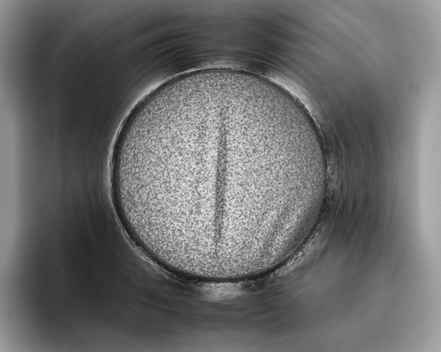 X0000095951135200802011056