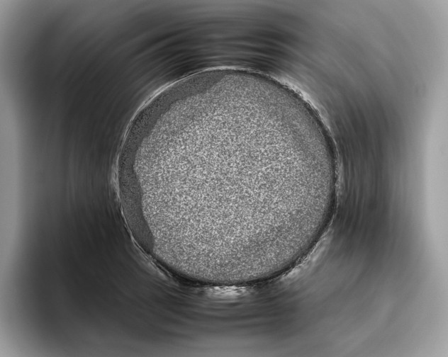 X0000095951137200802011056