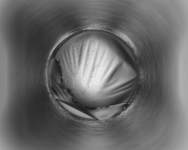 X0000095951138200802011056