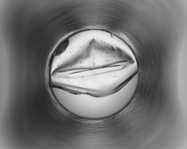 X0000095951140200802011056