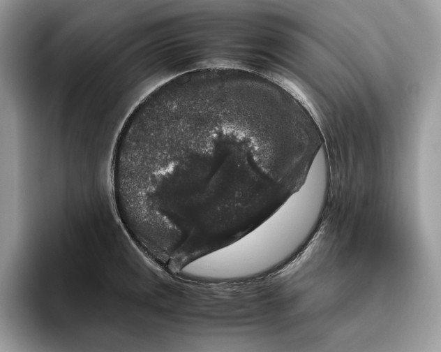 X0000095951141200802011056