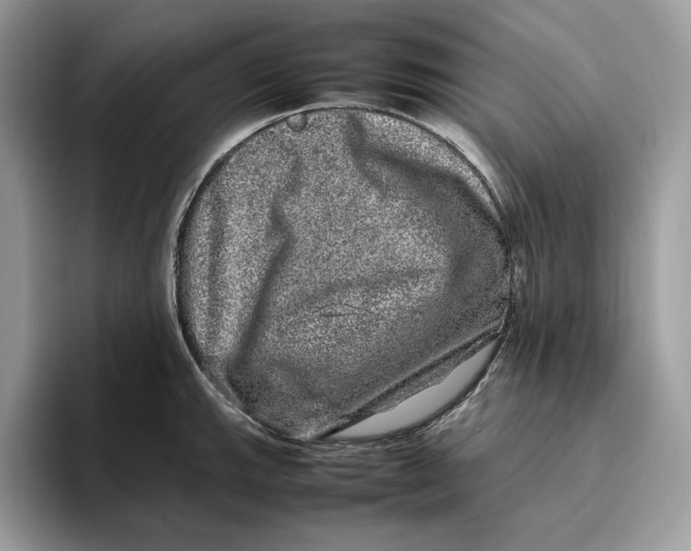 X0000095951143200802011056