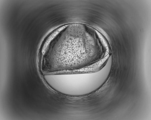 X0000095951144200802011056