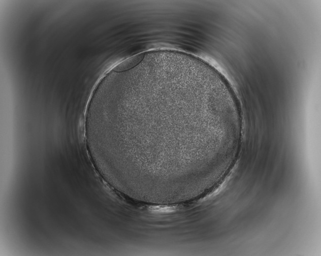 X0000095951145200802011056